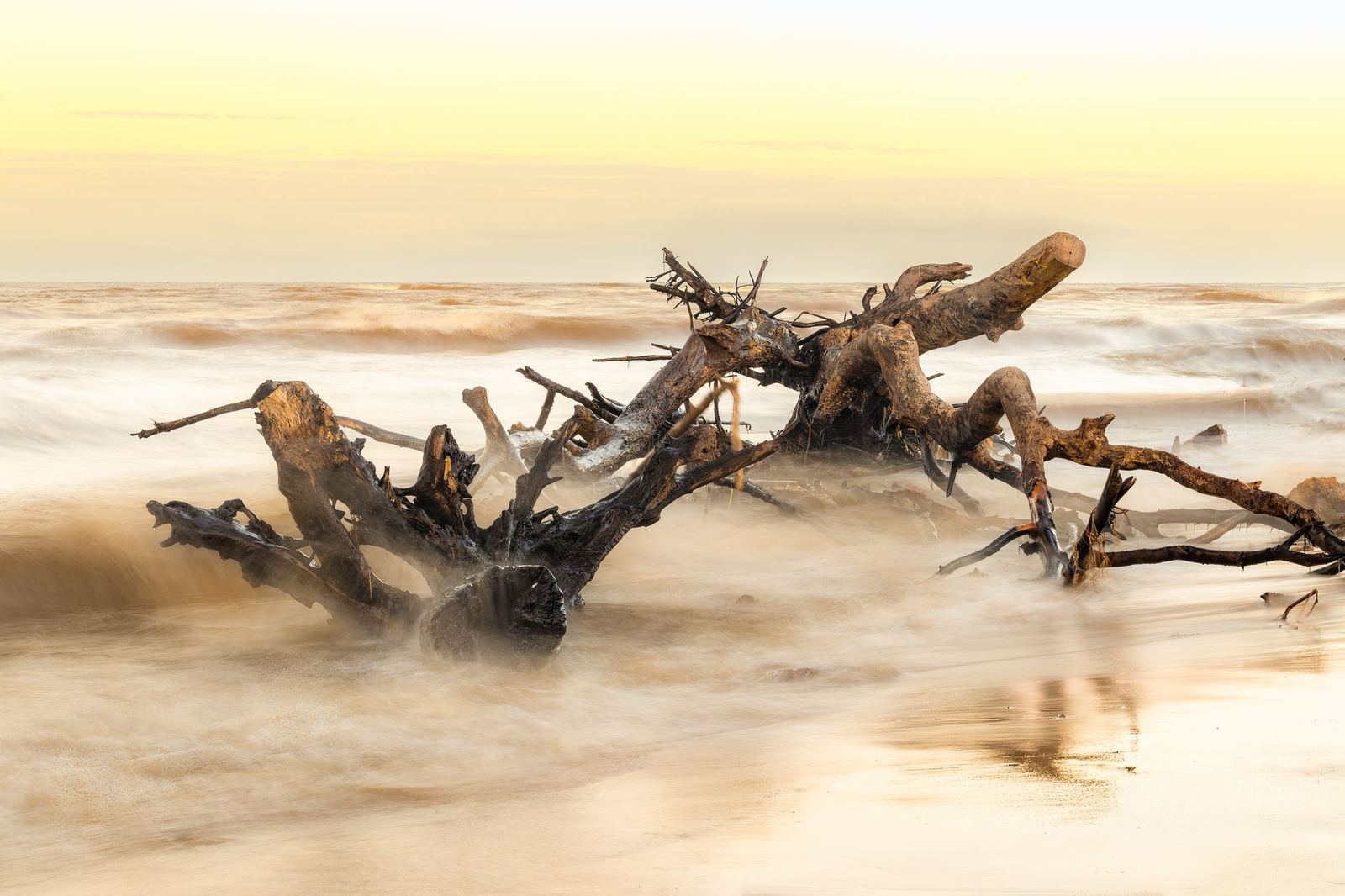 Serene view of driftwood on a seashore in Brazil during sunset, with gentle ocean waves.